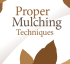 Proper Mulch