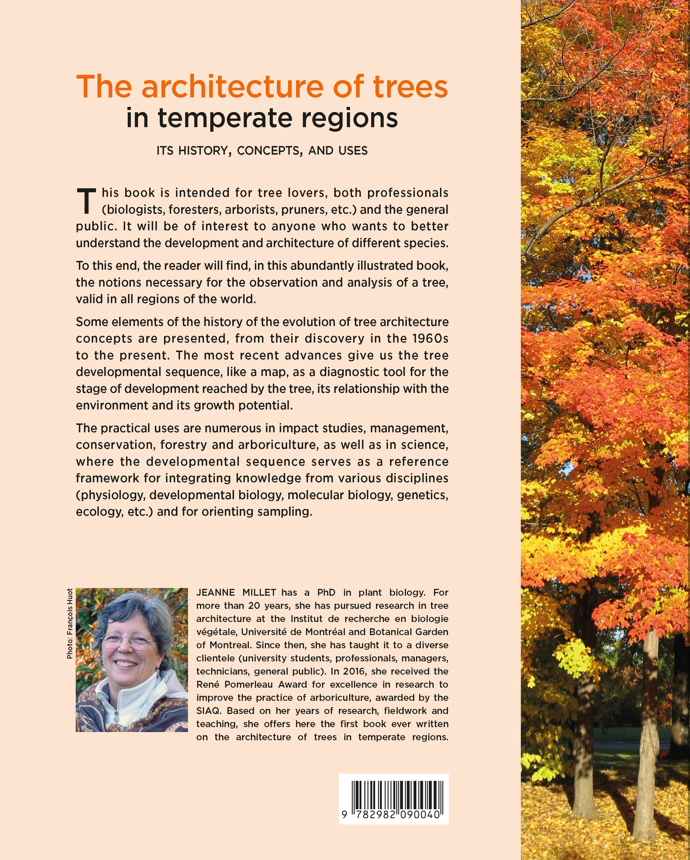The architecture of trees in temperate regions