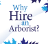 Hire Arborist